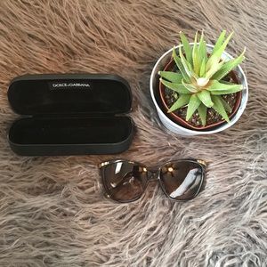 Dolce & Gabbana Sunglasses